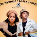 Dlala Thukzin Ft Zee Nxumalo & Funky Qla - Ama Gear MP3 Download