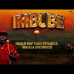 Zola - IMbube